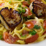 Scallops