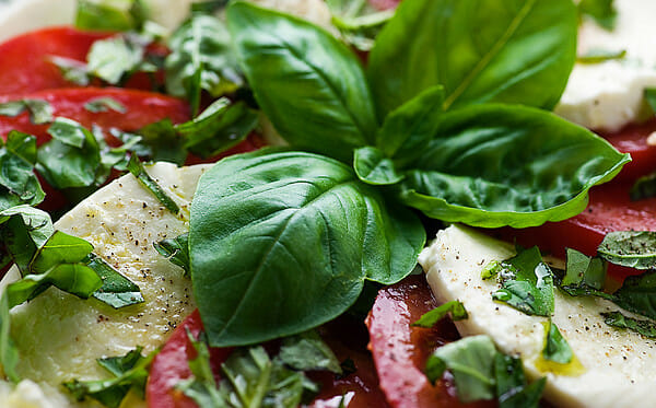 Tomato Mozzarella Basil Salad