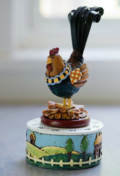Chicken timer