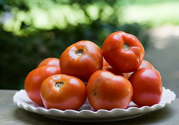 Tomatoes