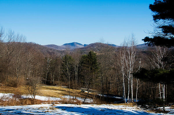 cabin view