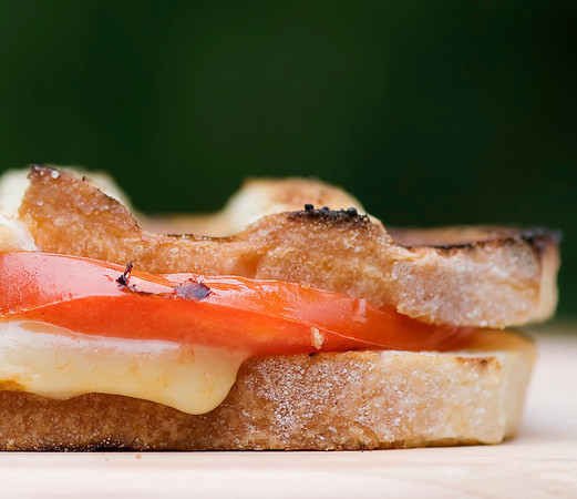 Grilled havarti cheese sandwich with tomato and fresh thyme