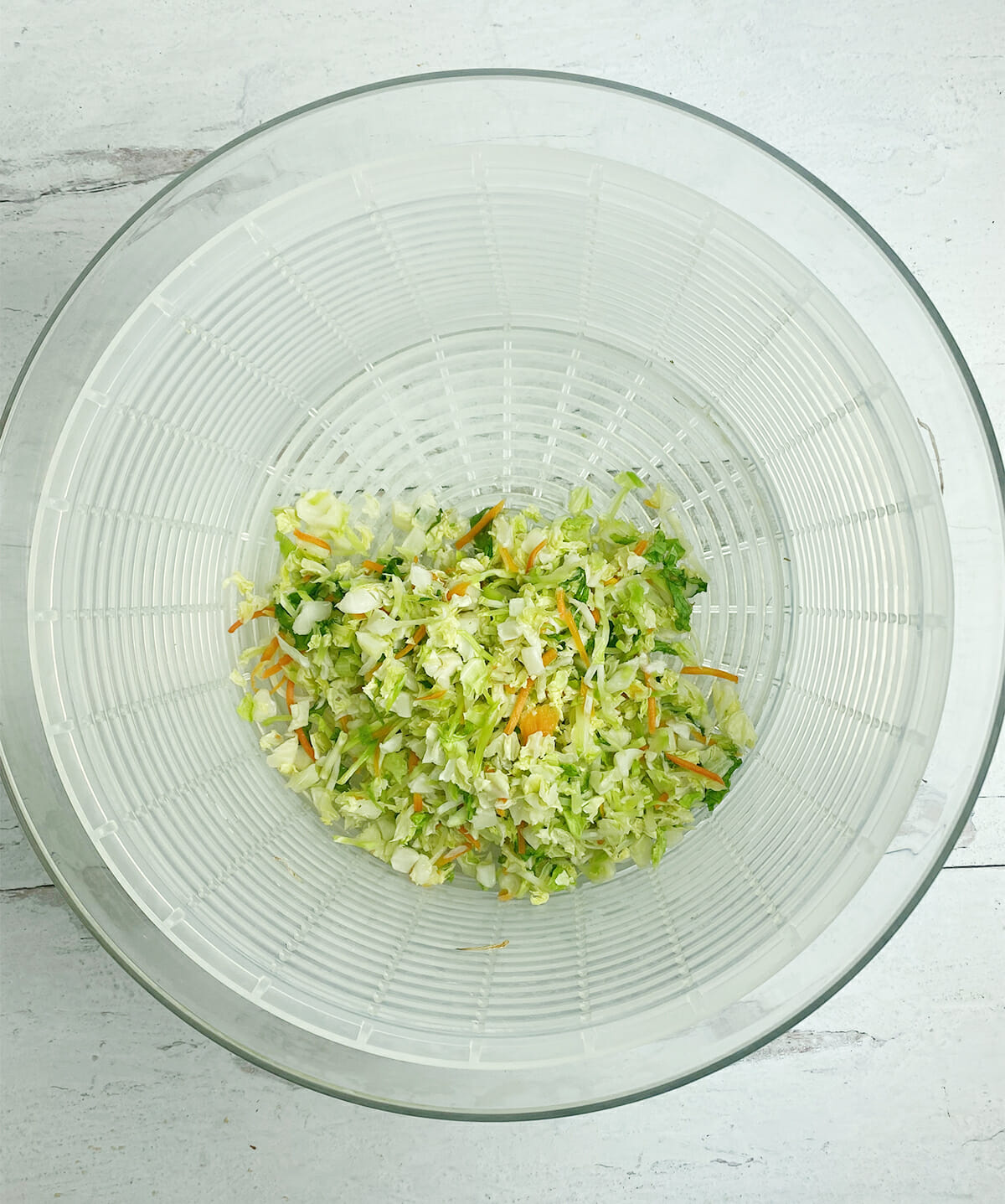 coleslaw in salad spinner
