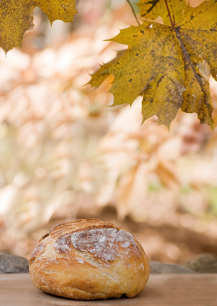 A loaf of almost no knead bread.