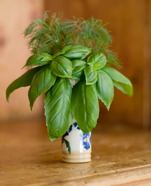 herbs in a vase