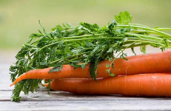 fresh carrots