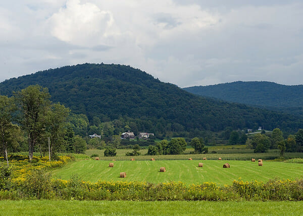 Hayfield