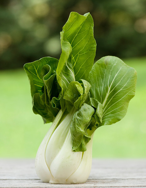 bok choy