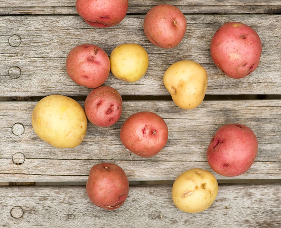 baby potatoes