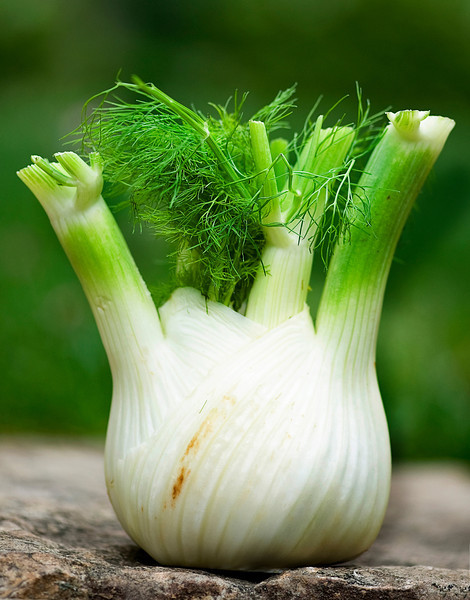 fennel