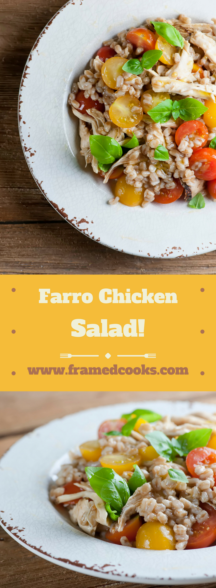 This easy recipe for farro chicken salad combines chicken with cheery vegetables and herbs and the nutty deliciousness of farro! If you haven't tried farro yet, this recipe is for you!