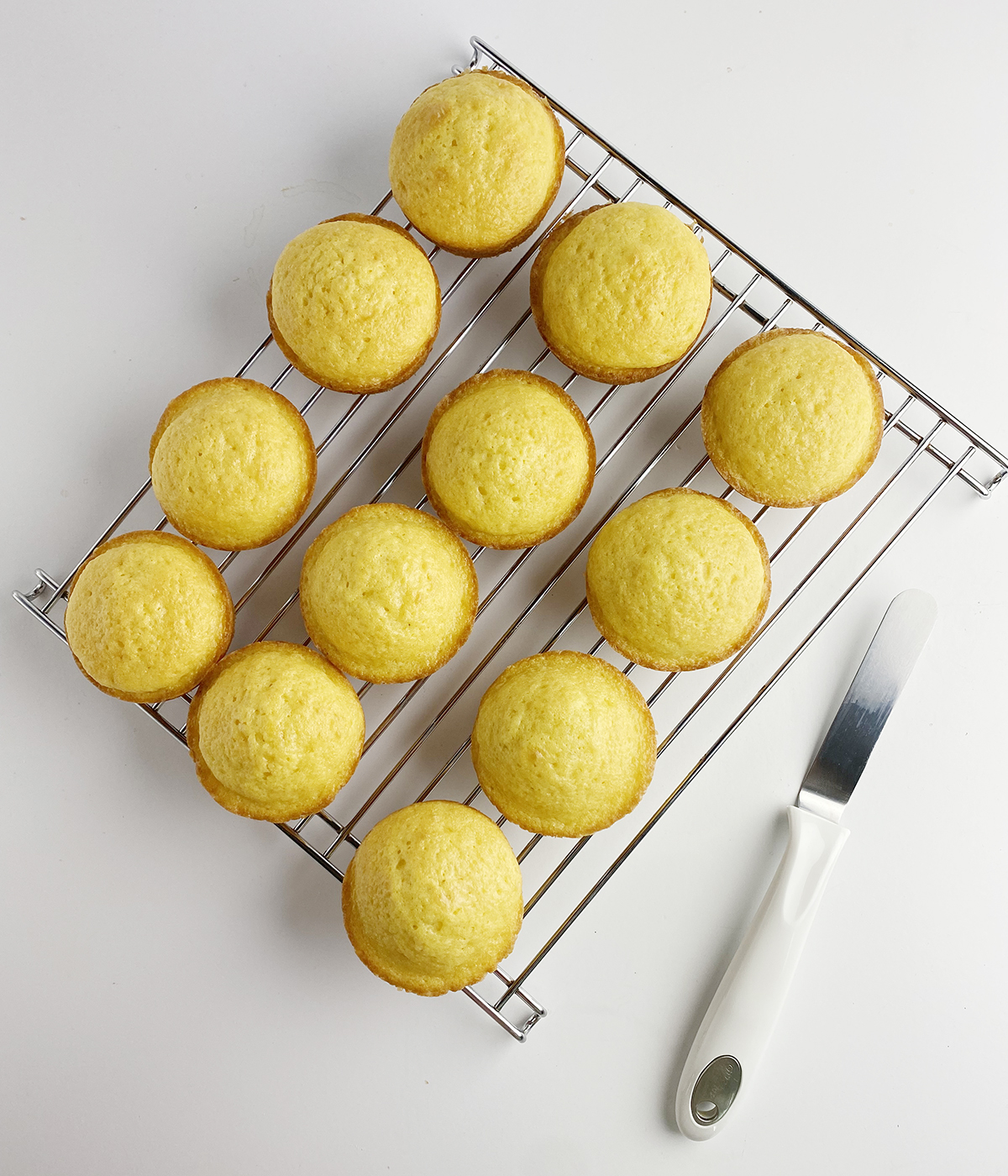 Vanilla cupcakes cooling on a rack.