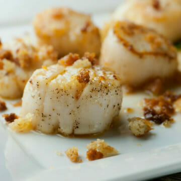 brown butter scallops with crispy breadcrumbs