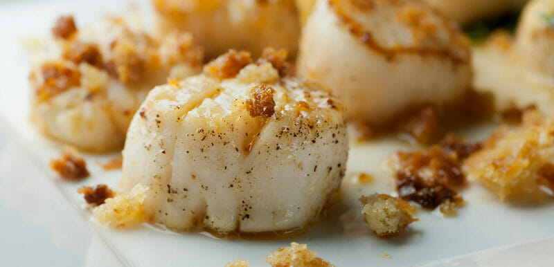 brown butter scallops with crispy breadcrumbs