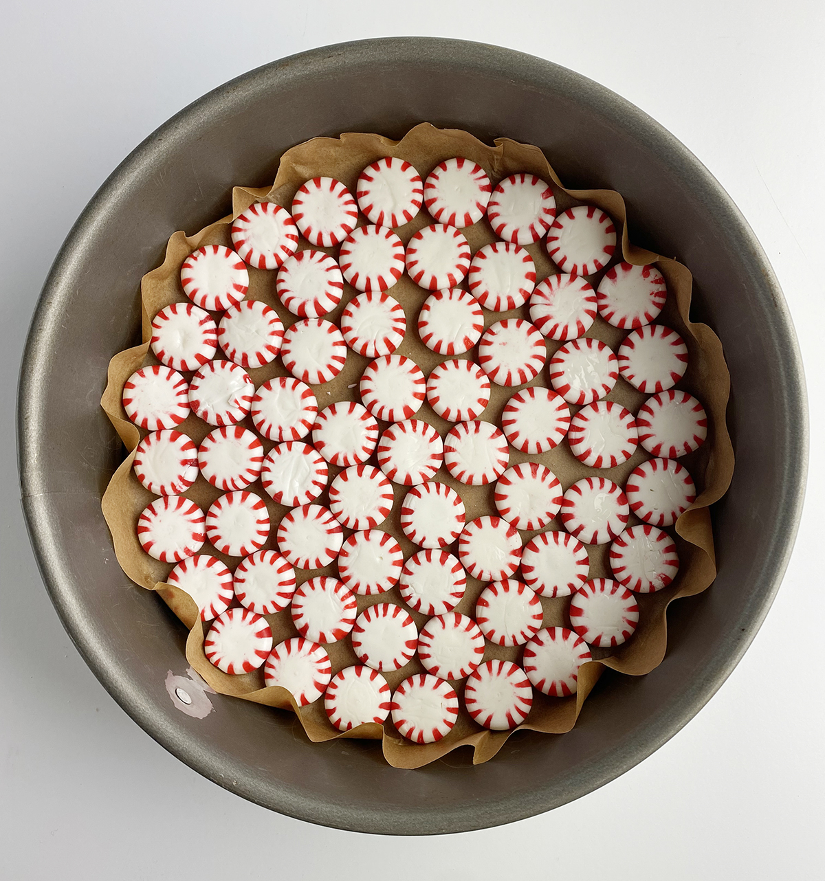 Peppermint candies ready for baking in a springform pan.