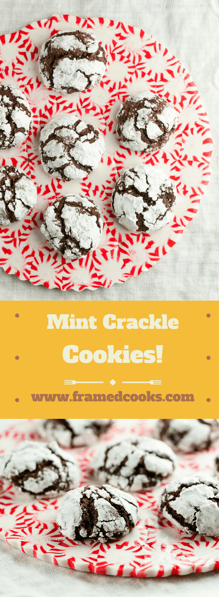 This easy recipe for chocolate mint crackle cookies has all the delicious tastes of the holidays. Powdered sugar sets off the fun crackle design!