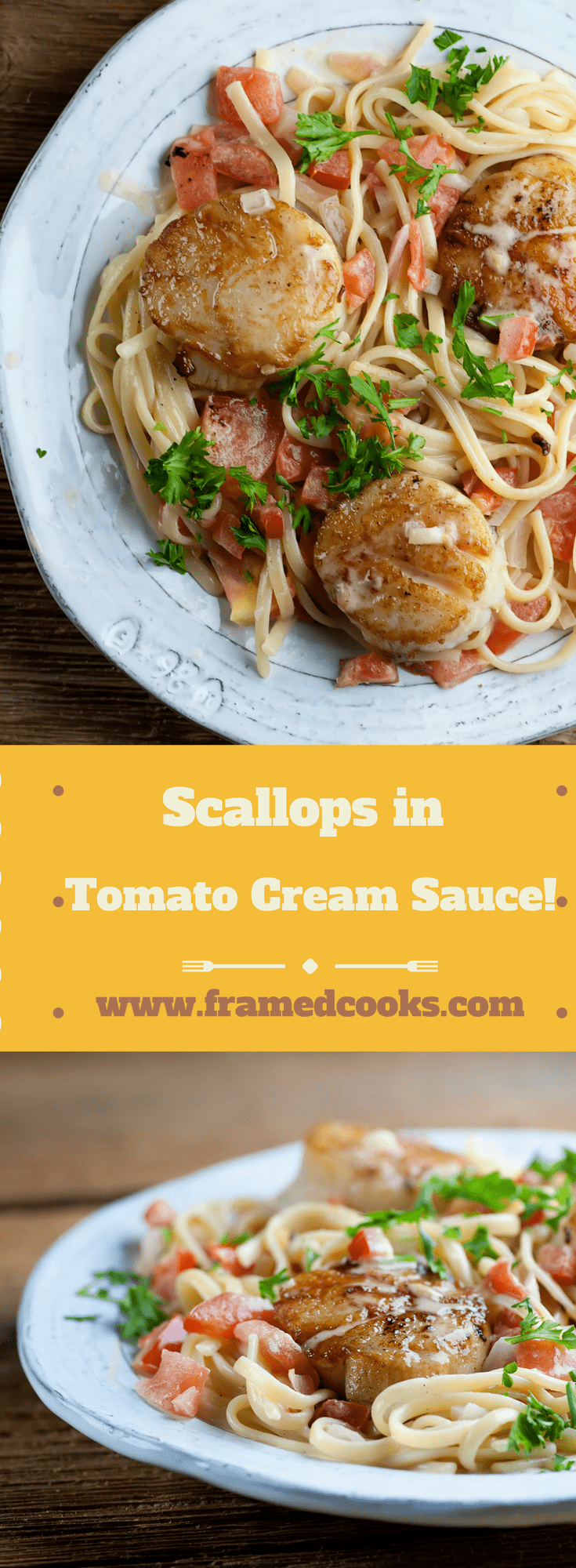 This easy and elegant recipe for seared scallops with tomato cream sauce is fully of the rich flavors of seafood and vegetables, all in a dreamy light sauce. A perfect company dinner!