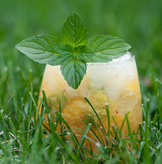 peach mint margarita