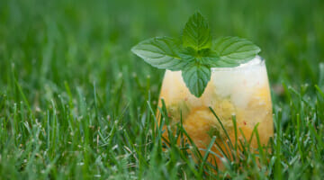 peach mint margarita