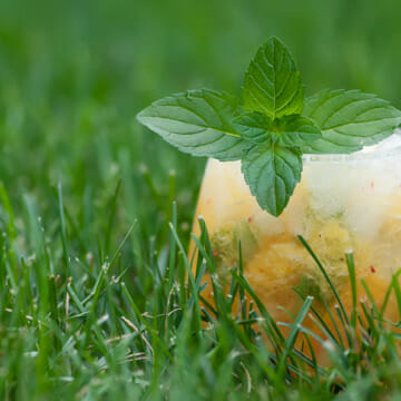 peach mint margarita