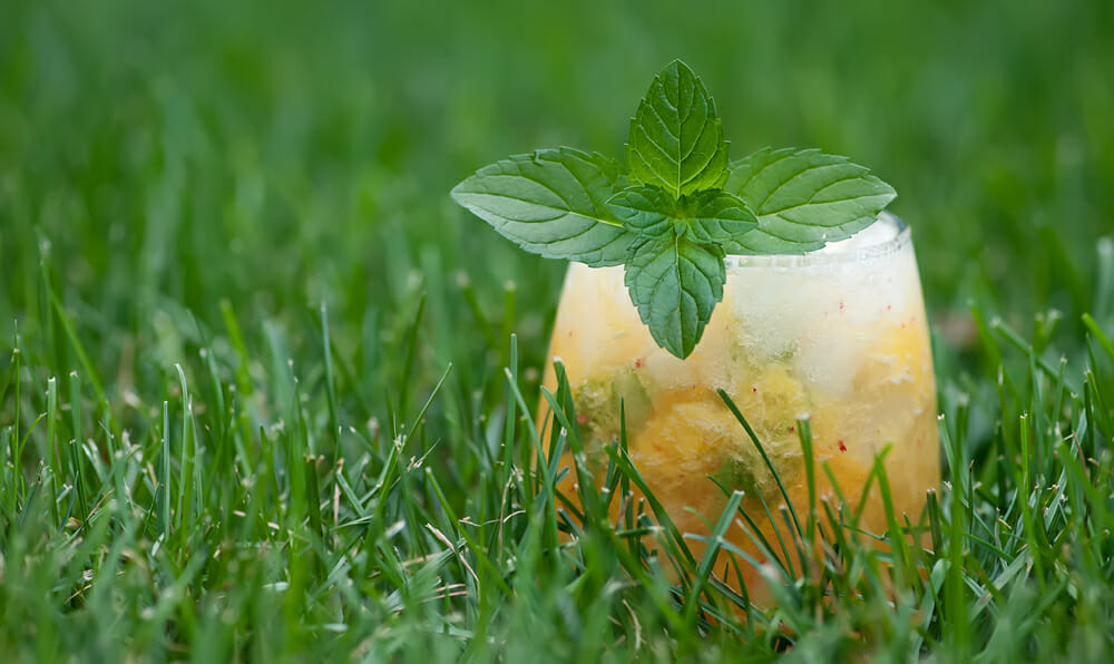 peach mint margarita