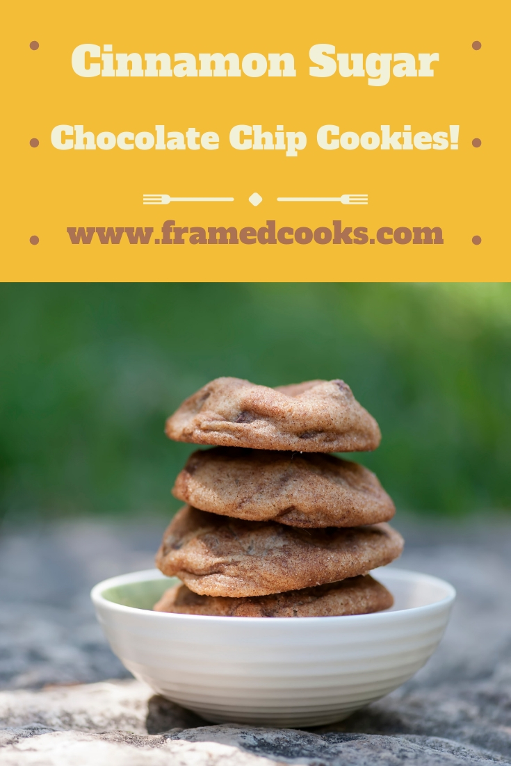 This easy recipe for cinnamon sugar chocolate chip cookies adds some sweet spice to everyone's favorite classic cookie. Perfect for the holidays!