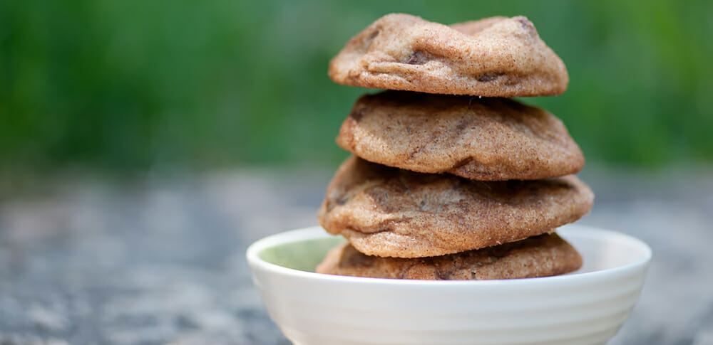 Cinnamon Chocolate Chip Cookies - Framed Cooks