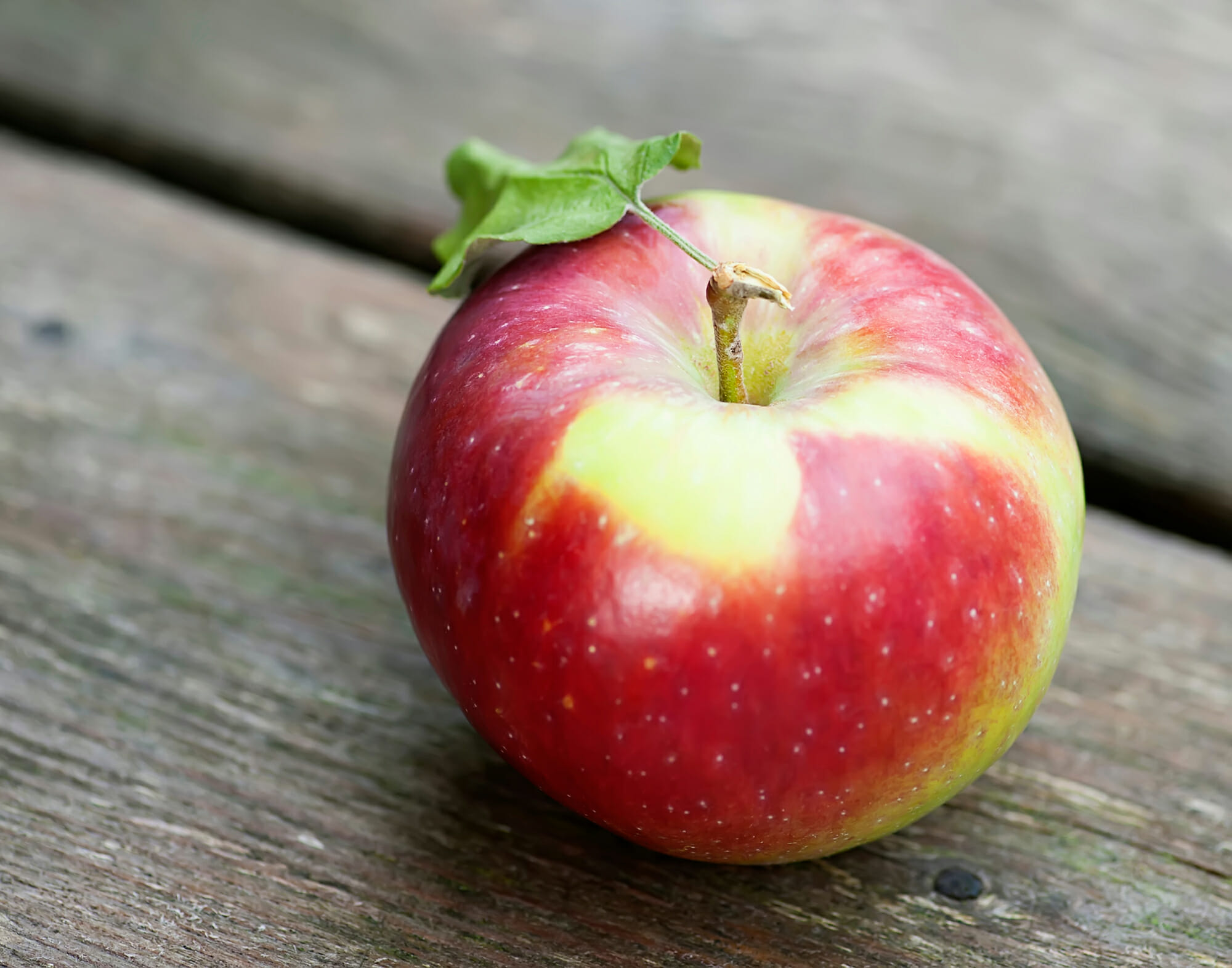 vermont apple