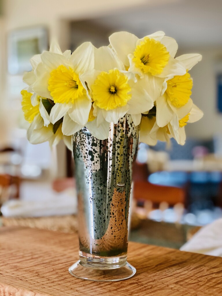 vase of daffodils