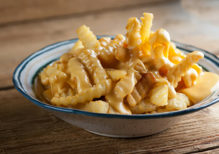 easy cheese fries