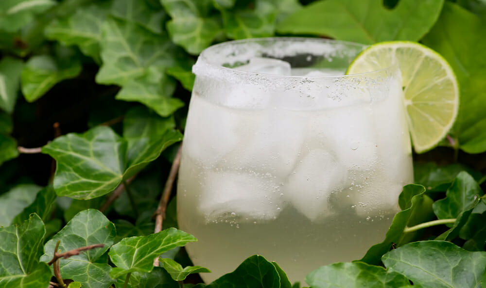 easy prosecco margarita