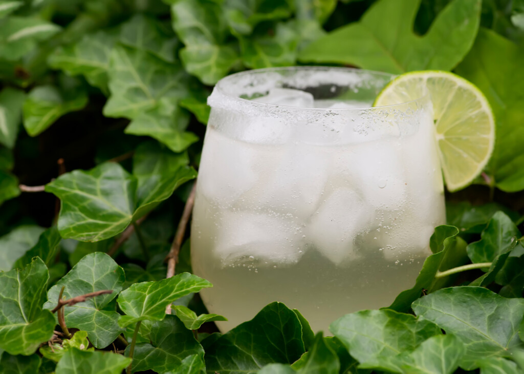 prosecco margarita