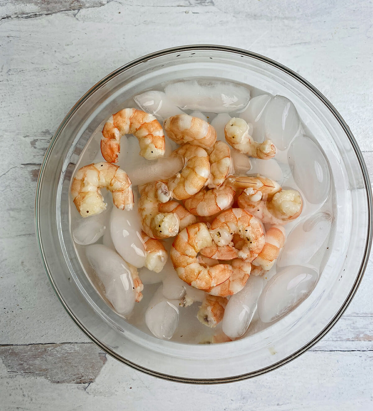 Cooked shrimp shrimp in an ice bath.