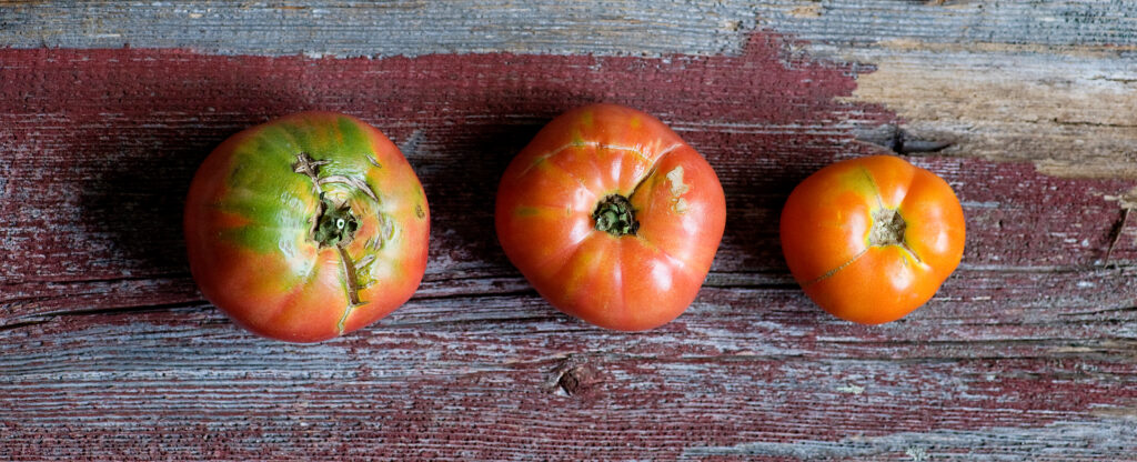 heirloom tomatoes