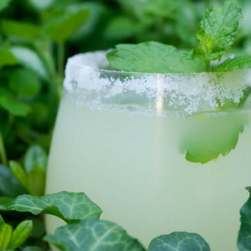 easy iced lemonade cocktail