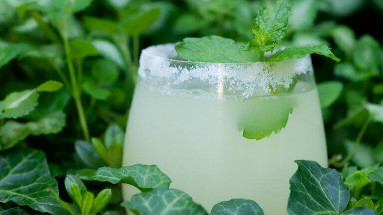 easy iced lemonade cocktail