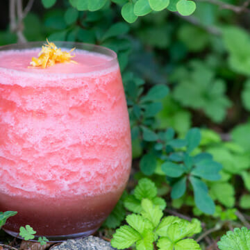 easy watermelon lemon frose