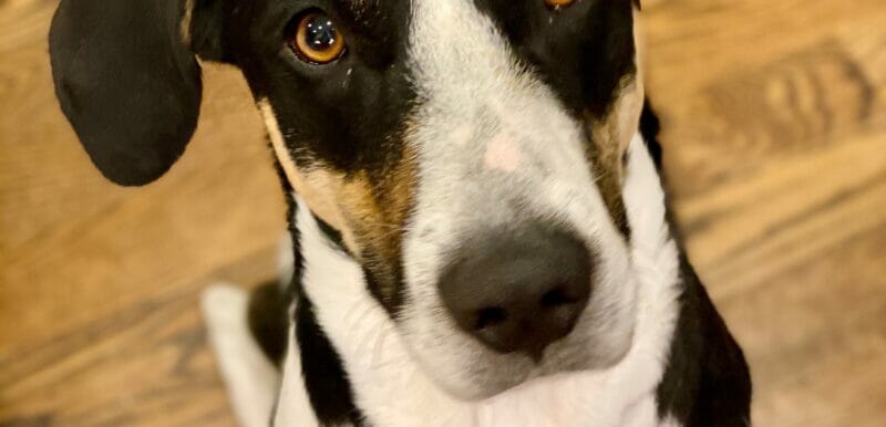 Winnie