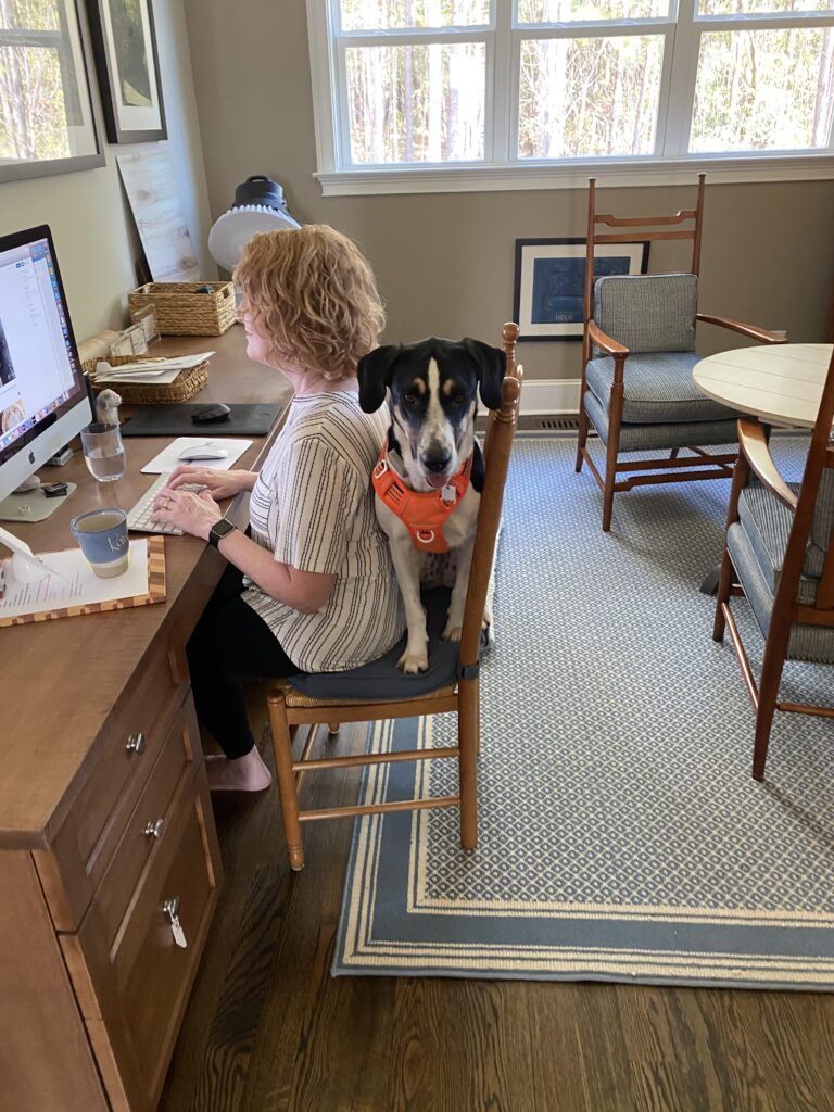 blogging with Winnie