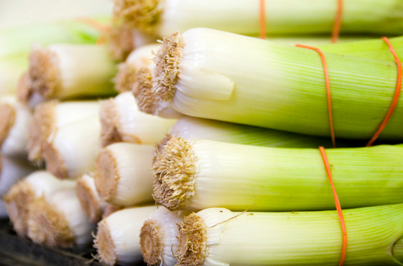 A bunch of leeks held together with rubber bands.