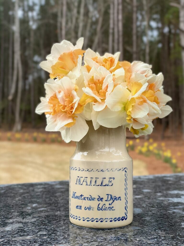 daffodils