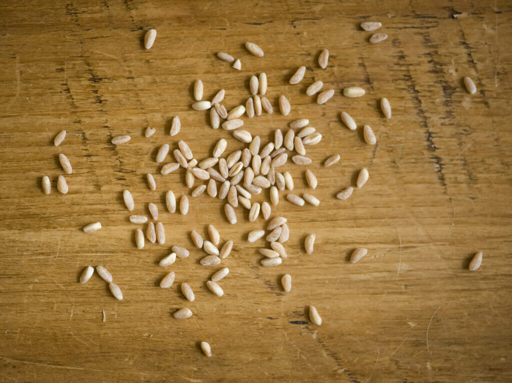 Farro grains on a wooden table.