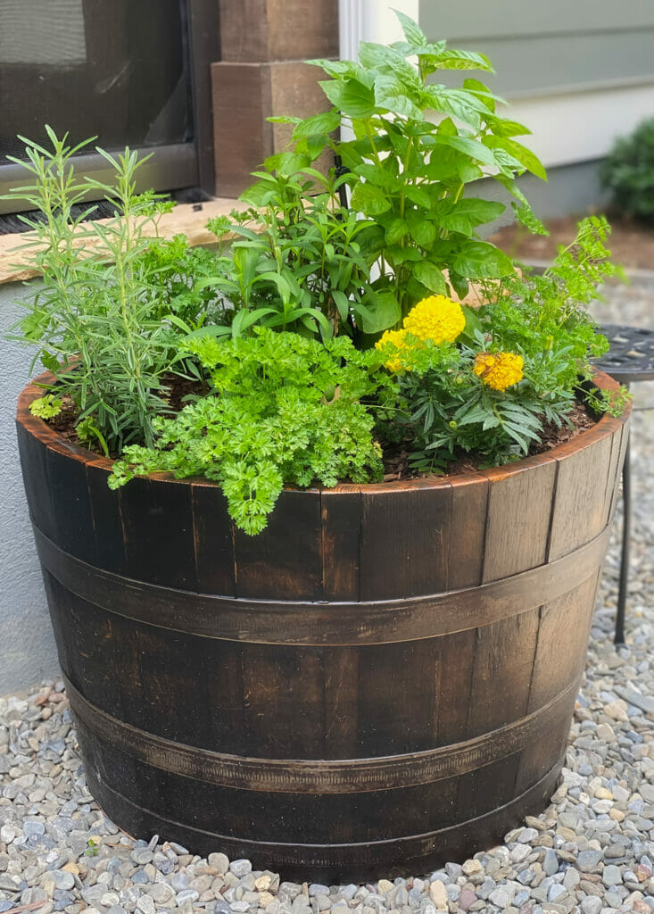 herb barrel