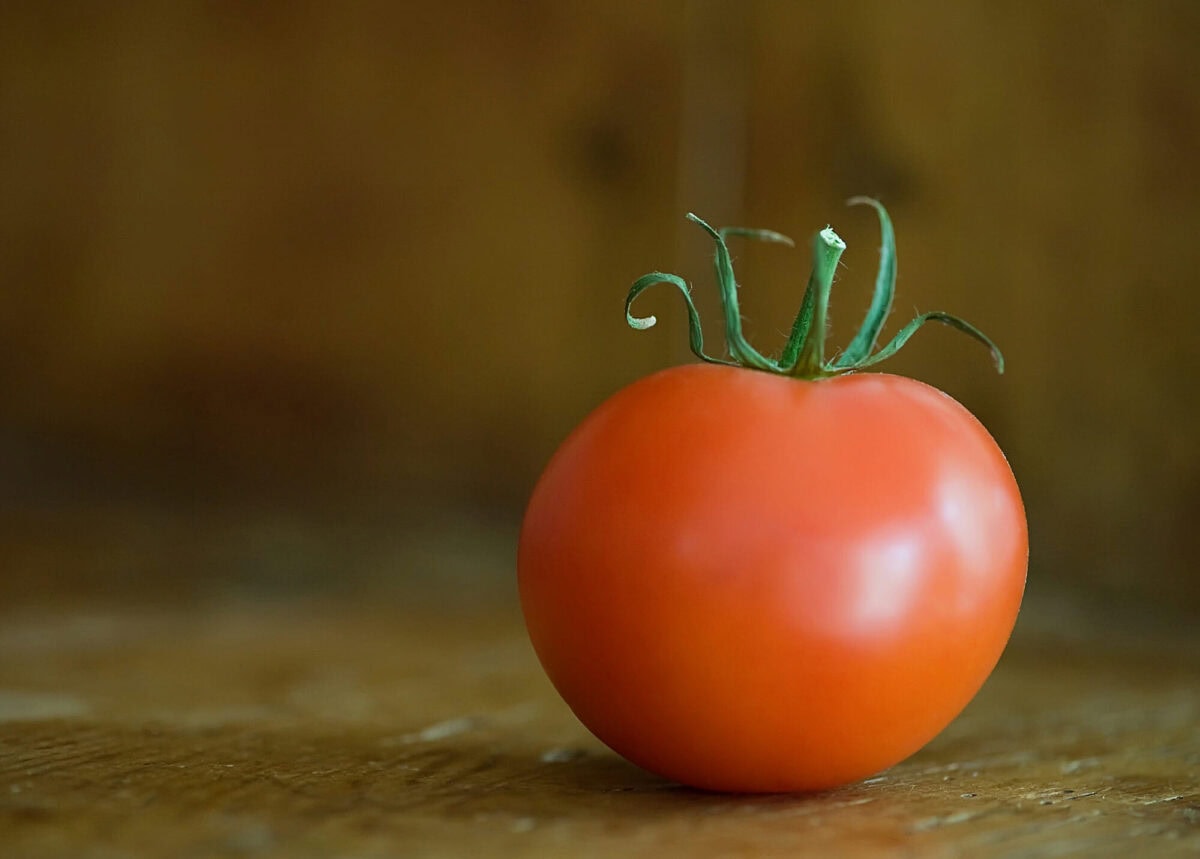 One perfect tomato on a counter.