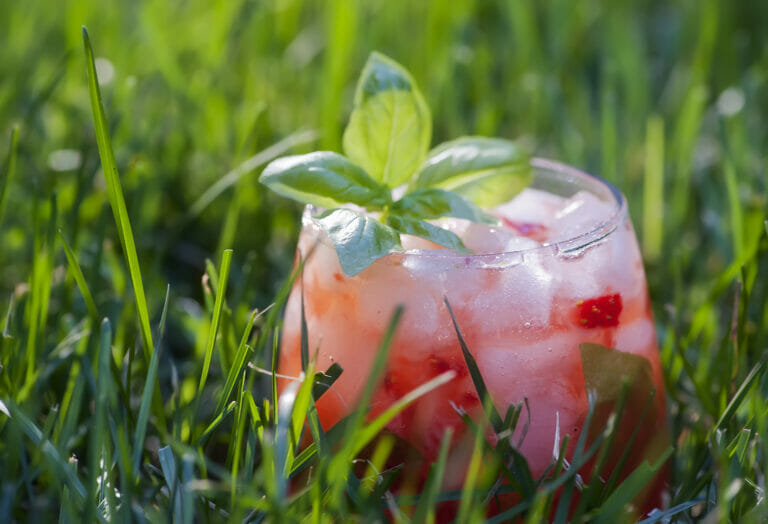 Strawberry basil margarita in the grass.