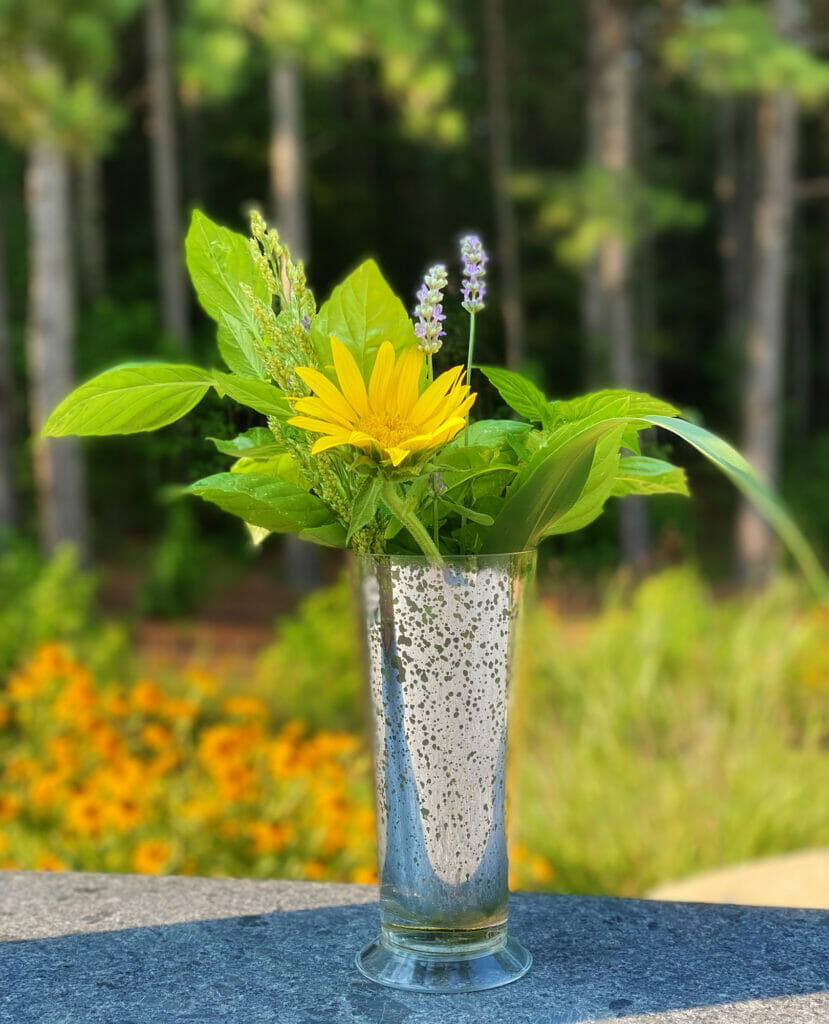 basil bouquet