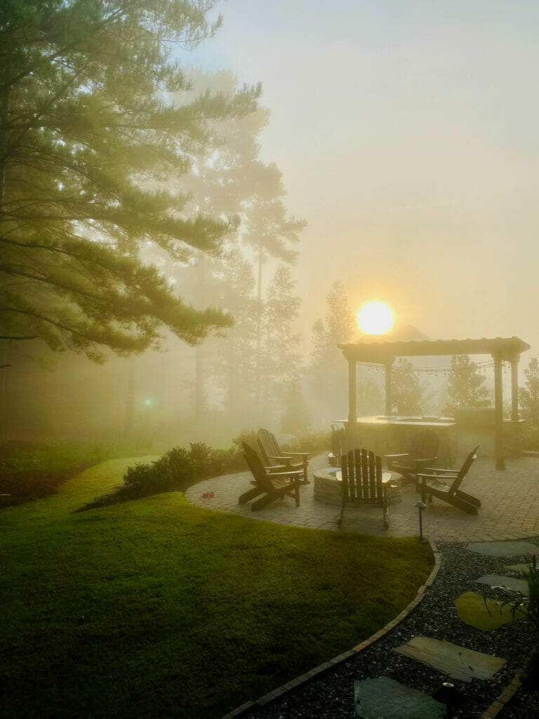 foggy Carolina morning