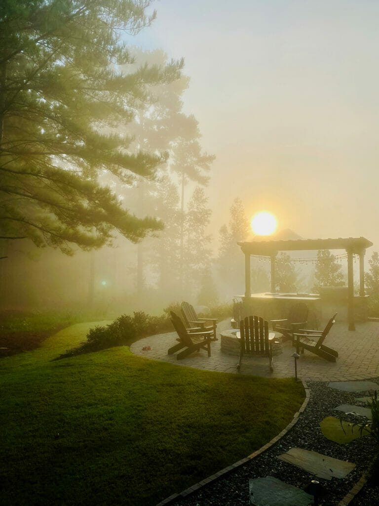 foggy Carolina morning