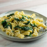 Pasta with lemon ricotta spinach sauce on a plate.