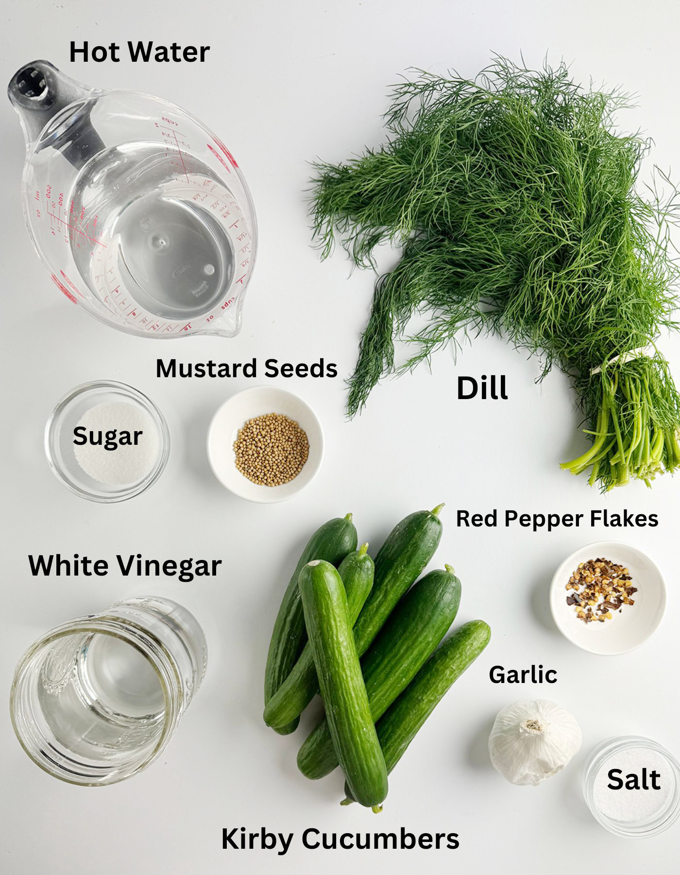 Ingredients needed for making easy refrigerator dill pickles.